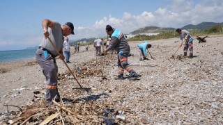 Alanya’da Sahil Temizliği Seferberliği