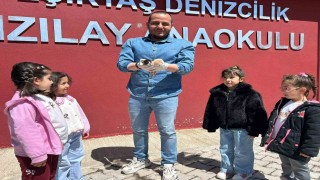 Anaokulunun misafiri ‘Fındık 6 yavru dünyaya getirdi
