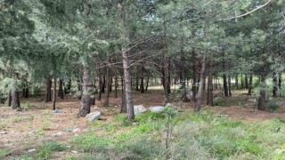 Anne ve oğlunu öldüren katil akrabaların çaldıkları altınları kuyumcuya sattıkları ortaya çıktı