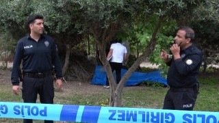Antalyada bir kişi ağaçlık alanda ölü bulundu