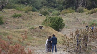 Antalya’da Ormanda Şüpheli Ölüm