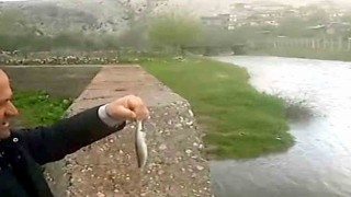 Arabanda Ardıl Çayı yıllar sonra yeniden aktı