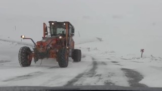 Ardahanın yüksek kesimlerinde kar ve tipi ulaşımı aksatıyor