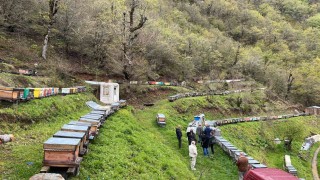 Artvin apiturizmde gelecek vadediyor