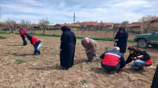 Aslanapada çiftçilere yönelik eğitim ve saha çalışmaları gerçekleştirildi