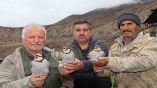 Atadan toruna kalan miras:  Baskın keklik yöntemiyle dev envanter