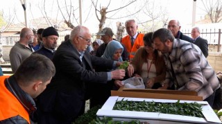 Atakumlu çiftçiye 100 bin sebze fidesi