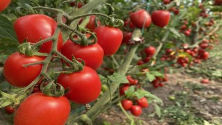 ATB mart ayı hal endeksini açıkladı