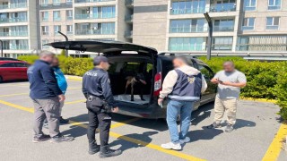 Avcılarda köpeğe kötü muamelede bulunan şahıs yakalandı