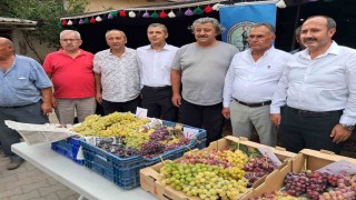 Avşar Üzümü coğrafi işaretle tescillendi