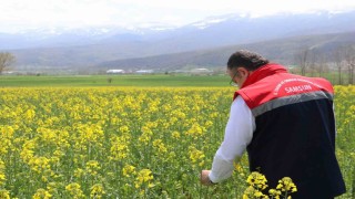 Ayçiçeği ve kuru fasulye tohumları çiftçilere teslim edildi
