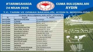 Aydında Tarım Sahada buluşmaları sürüyor