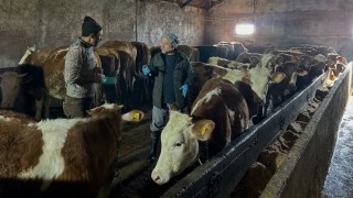Aydıntepenin 23 köyünde ve 4 mahallesinde şap aşılama kampanyası tamamlandı