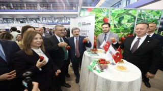 Bafra standına yoğun ilgi