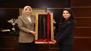 Bahşılı Kaymakamlığından kadınların gelişimine yönelik örnek proje