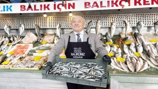 Balık sezonu sona erdi, Balıkçı Kenan hamsiye madalya taktı