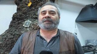 Balıkesirde 1620 tarihi meşeye özel koruma
