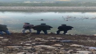 Baraj gölüne uçan otomobildeki sürücüyü ekipler kurtardı