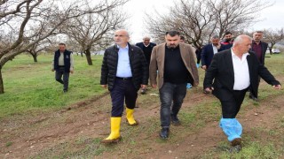 Başkan Er, dolu afetinden zarar gören ilçeleri ziyaret etti