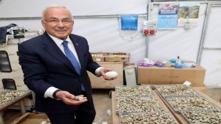 Başkan Güler: Ordumuza yeni bir sektör hazırlıyoruz