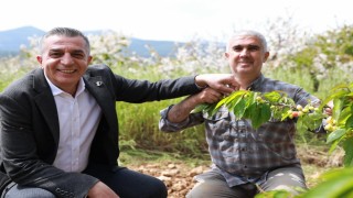Başkan Şimşek sezon öncesi üreticiyi dinledi