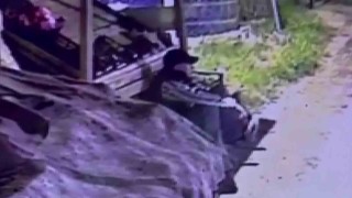 Başkasına ait beğendiği ayakkabıyı çalarken kameralara yakalanan suç makinesi tutuklandı