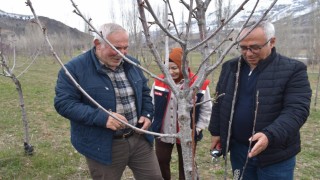 Bayburtta üreticilere aşılama ve budama eğitimi verildi