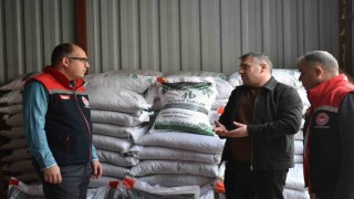 Bayburtta üreticilere yüzde 50 hibeli yem bezelyesi tohumu dağıtıldı