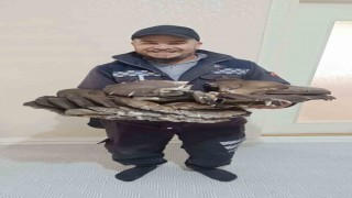Beyşehirde doğada bulduğu 10 kiloluk mantar şaşırttı