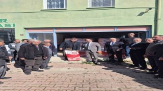 Bilecikte 240 torba yağlık ayçiçeği tohumu üreticilere dağıtıldı