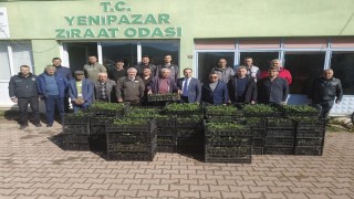 Bilecikte 8 bin çilek fidesi üreticiyle buluştu