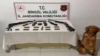 Bingölde silah ve mühimmat ele geçirildi