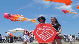 Bodrum uçurtma festivali 21 yıldır engelleri gökyüzünde kaldırıyor