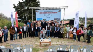 Bodrumda yazlık fideler üreticilere dağıtıldı