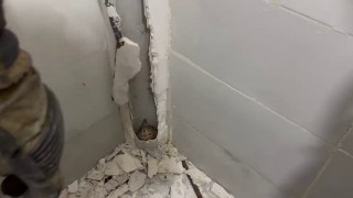 Boruda mahsur kalan kedi duvar kırılarak kurtarıldı