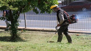 Bozdoğanda çevre düzenleme çalışmaları sürüyor