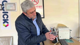 Bünyanda çatıdan düşen kuş, yuvasına kavuşturuldu