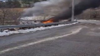 Bursada bağ evinde çıkan yangın korkuttu