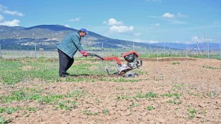 Büyükşehir ipek böceği yetiştiriciliğini yaygınlaştırıyor