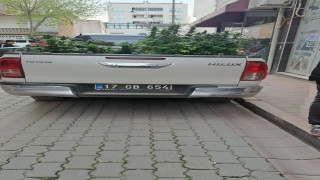 Çanakkalede evinde kenevir yetiştiren şahıs gözaltına alındı