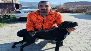 Çiğlide arıtma tesisindeki çamur çukuruna araçla düşen işçi hayatını kaybetti