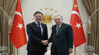 Cumhurbaşkanı Erdoğan-Rutte görüşmesinin detayları belli oldu