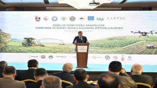 Cumhurbaşkanı Yardımcısı Yılmaz: Coğrafyamızın da avantajlarını kullanarak lojistikte çeşitlendirme, alternatifleri geliştirme stratejisi izliyoruz