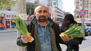 Dağlardan toplanan doğal antibiyotik, tezgahlarda yerini aldı