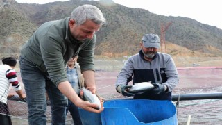 Denizi olmayan Erzurumda yılda 300 tona yakın balık üretiyorlar