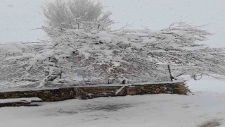 Denizlinin yüksek kesimleri baharda beyaza büründü