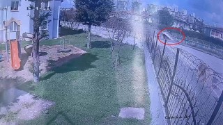 Dereye uçan kamyonetin sürücüsü hayatını kaybetti