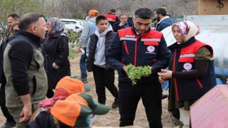 Dinarda ‘Kekik Yetiştiriciliği Projesi devam ediyor