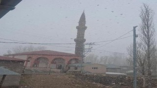Diyadinde nisan karı