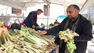 Doğunun vitamin deposu muzu ‘ışkın tezgahlarda yerini aldı
